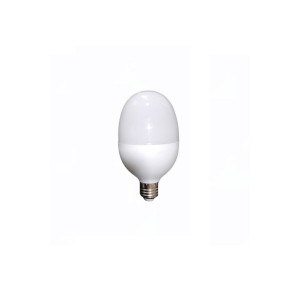Winlight 20w Led Torch Yumurta Ampul Beyaz Işık E27
